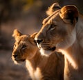 Lion cub and lioness. AI generative.