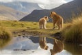 Lion cub looking the reflection of an adult lion in the water on a background of mountains Royalty Free Stock Photo