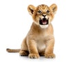 Ai Generated illustration Wildlife Concept of Lion Cub (3 months) Royalty Free Stock Photo
