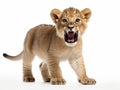 Ai Generated illustration Wildlife Concept of Lion Cub (3 months) Royalty Free Stock Photo