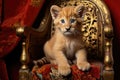 a lion cub playing on an ornate golden throne