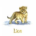 Lion cub portrait, handpainted watercolor illustration isolated on white Royalty Free Stock Photo