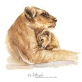 Lion and cub portrait. Lions family watercolor Royalty Free Stock Photo