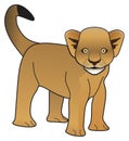 Lion cub vector drawing on isolated white background Royalty Free Stock Photo