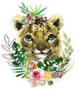 Lion cub. wild animals watercolor illustration Royalty Free Stock Photo