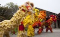 Lion Dance