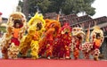 Lion Dance