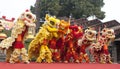 Lion Dance