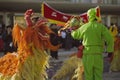 Lion dance Royalty Free Stock Photo