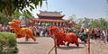 Lion dance in action in the big temple of the city of Semarang makes tourist excursions a lot.