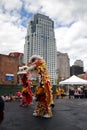 Lion dance in Chinatown, Boston during Chinese New Year celebration