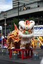 Lion dance in Chinatown, Boston during Chinese New Year celebration