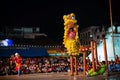 lion dance on column for Chinese new year