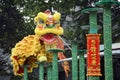 Lion Dance is one of traditional parts of chinese martial arts.