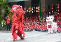 Lion dance