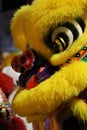Lion dance during nine emperors deity festival Royalty Free Stock Photo
