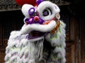 Lion dance performance