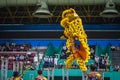 Lion Dance