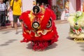 Lion dance show in chinese new year festival on 1st day Chinese new year