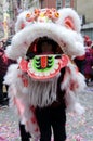 Lion Dancer