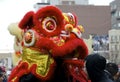 Lion Dancer