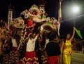 Lion dancers in chingay festival