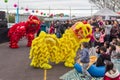 Lion dancers entertain a crowd at Chinese moon festival Royalty Free Stock Photo