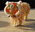 Lion Dancing Chinese New Year Celebrations in Blackburn England Royalty Free Stock Photo