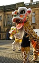 Lion Dancing Chinese New Year Celebrations in Blackburn England Royalty Free Stock Photo