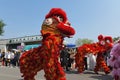 Lion dancing for chinese opera show in beijing theatre festival