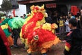 Lion dancing and dragon dancing in rural China