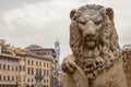 Lion of Dante Statue Royalty Free Stock Photo