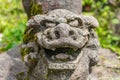 Lion-dog, or komainu, at Hanibe caves, Japan. Royalty Free Stock Photo