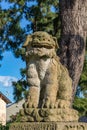 Lion-dog, or komainu, at Mikawa, Japan. Royalty Free Stock Photo