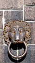 Lion door handle at cityhall in stockholm Royalty Free Stock Photo