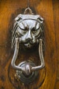 Lion Door Knocker in Cortona, Italy