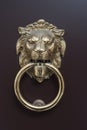 Lion door knocker