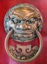 Lion door knocker