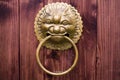 Lion door lock on brown wood Royalty Free Stock Photo