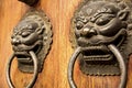 Lion dragon door accent Royalty Free Stock Photo