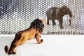 The Lion and Elephant model. Royalty Free Stock Photo