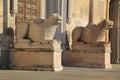 The lions at Parma Cathedral. Royalty Free Stock Photo