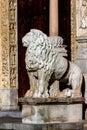 Lion at the entrance to the Modena Cathedral Royalty Free Stock Photo