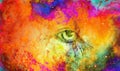 lion eye. animal drawing. Color cosmic space. Royalty Free Stock Photo