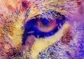 Lion eye and graphic effect. Computer collage. Royalty Free Stock Photo