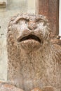 Lion and Facade at Cathedral Church Entrance, Modena Royalty Free Stock Photo