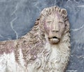 Lion on the facade of Scuola Grande di San Marco in Venice Royalty Free Stock Photo