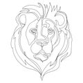 Lion face abstract line drawing outline design template,vector illustration.Lion head,Muzzle,portrait.Wild animal