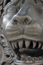 Lion face close-up. The King Cannon detail. Moscow Kremlin.