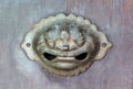 Lion face door knocker